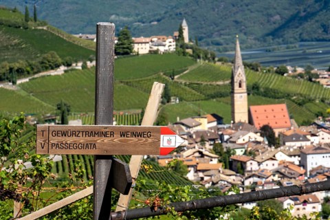 Hiking trail Signpost to the Gewürztraminer Wine Trail, circular tour in the vineyards above the