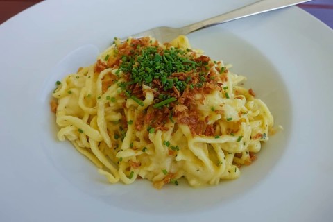 Swabian cuisine, traditional cuisine, home cooking, typical Swabian, hearty, Kässpätzle with