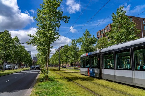 Urban greening, inner-city street Laan op Zuid, in Rotterdam's Feijenoord district, 4 lanes, 2 tram
