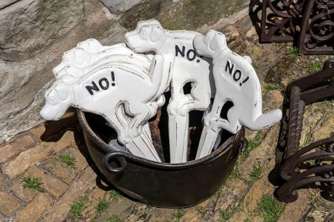 Shop sells small signs for the front garden to prevent dog owners from taking their dogs into the