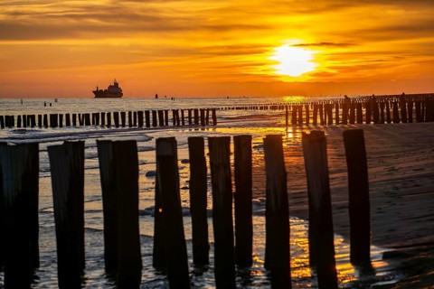 Sunset on the beach of Zoutelande, beach with wooden pile breakwaters, cargo ship sailing towards