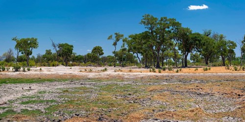 Dried out riverbed and landscape, drought, heat, dryness, climate change, global warming, panorama,