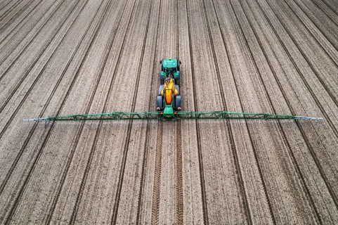 Farmer working a field, crop protection agent being sprayed, field with young sugar beet plants,