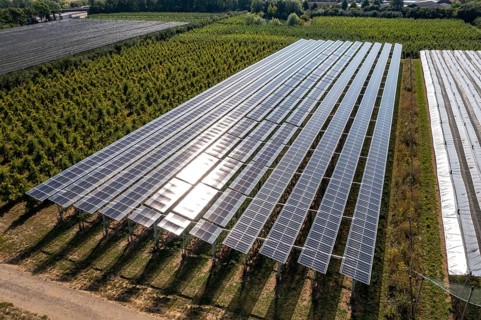 Agri-photovoltaic test plant, an apple orchard with two different systems of PV modules was roofed