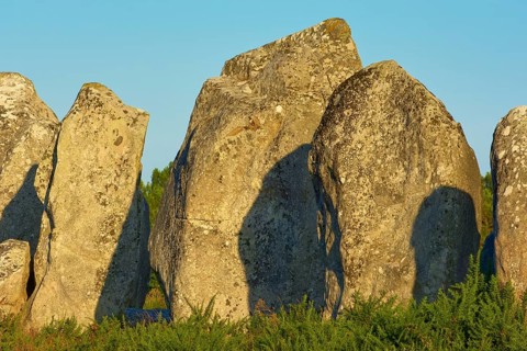 Neolithic menhirs, standing stones in Carnac with sunrise, Carnac, Quiberon, Morbihan, Brittany,