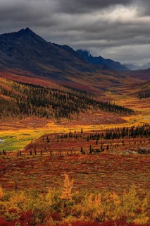 Autumn coloured tundra, mountains, clouds, Tombstone Territorial Park, Dempster Highway, Yukon,