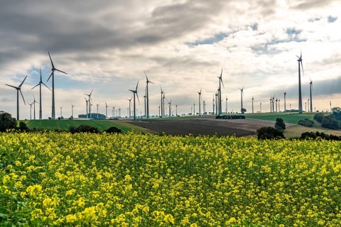 Wind farm near Lichtenau, wind turbines, rape field, North Rhine-Westphalia, Germany, Europe