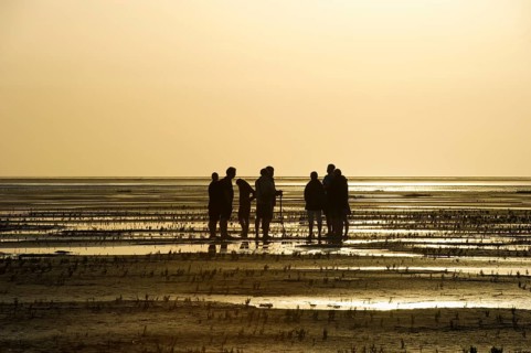 Hiker in the mudflats, sunset, Wyk, Föhr, North Frisia, Schleswig-Holstein, Germany, Europe