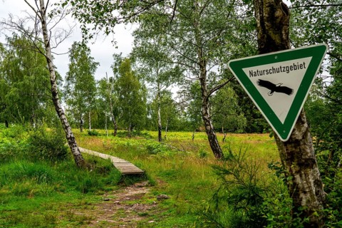 Bohlenweg, in the Struffelt nature reserve, near Roetgen-Rott, part of the Eifelsteig long-distance