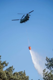 Forest fire in the German-Dutch border region near Niederkrüchten-Elmpt, in a nature reserve, use