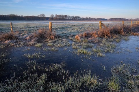 Blänke on a wet meadow, at frost, in the morning, NSG Dingdener Heide, North Rhine-Westphalia,