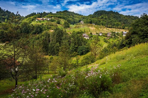 Mühlenweg, Ottenhöfen, Ortenau, Black Forest, Baden-Württemberg, Germany, Europe