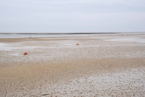 Wadden Sea at low tide with numerous piles of lugworms, two buoys, Utersum, Föhr, North Sea island,