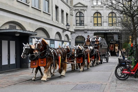 Feldschlösschen brewery horses, St. Gallen, Switzerland, Europe