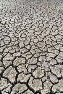 Dry ground, cracked, dried-up riverbed, in a branch of the Rhine, near Duisburg