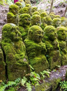 Moss-covered stone statues of rakans, the disciples of Buddha, Otagi Nenbutsu-ji temple, Kyoto,