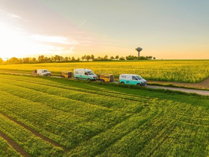 Cars driving along a rural road next to green and blooming fields at sunset, fibreglass