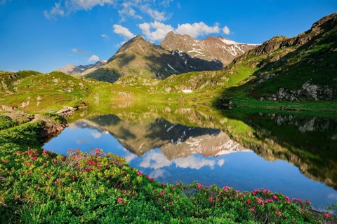 Chli Sustenhorn and Sustenhorn reflected in the Seebodensee, Canton Bern, Switzerland, Europe