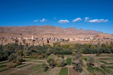 Oasis with traditional mud houses and date palms, on the edge of the Todra Gorge or Gorges du