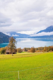 Green shore meadows lead to a quiet mountain lake under a dramatic sky, Lake Brienz, Switzerland,