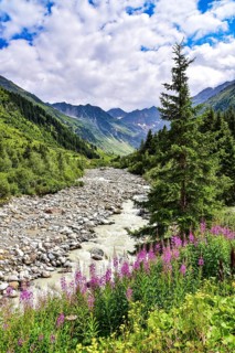 The Pitzbach in the Pitztal, in the background (from left to right) Innere Schwarze Schneid (3365