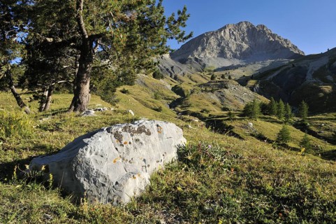 France, Mercantour National Park
