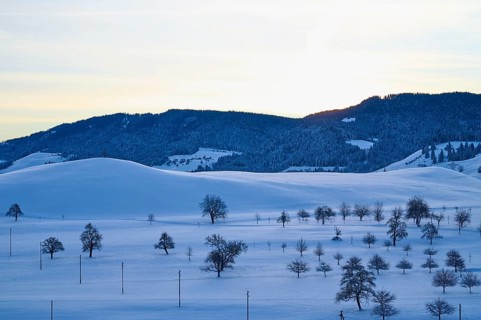 Snowy landscape with hills and trees in front of a mountain at sunrise, Menzingen, Zug, Canton Zug,