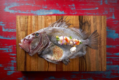 Ceviche modern cuisine of San Pedro fish Zeus faber