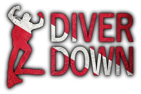 Diver Down Flag, Diver Silhouette, Vintage Style Scuba flag