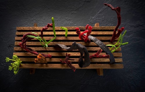 Codium seaweed salad modern cuisine with marine fennel and colorful algae