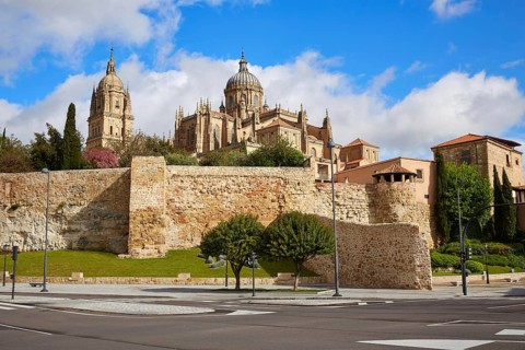 Salamanca Cathedral facade in Spain by the Via de la Plata way to Santiago