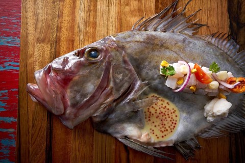 Ceviche modern cuisine of San Pedro fish Zeus faber