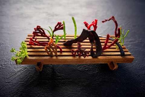 Codium seaweed salad modern cuisine with marine fennel and colorful algae