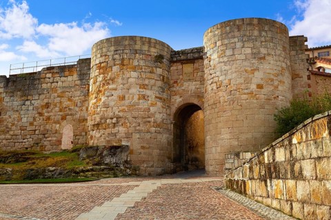 Zamora door of Dona Urraca in Spain by the via de la Plata way to Santiago