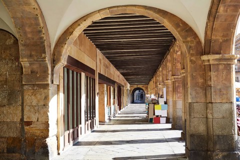 Salamanca Plaza Mayor in Spain along via de la Plata way to Santiago