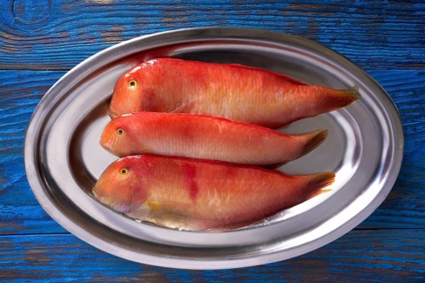 Galan fish Xyrichtys novacula in a row seafood from Mediterranean
