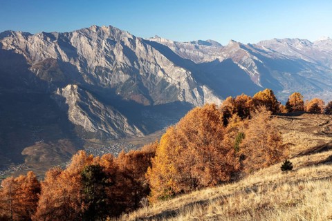 Sunset, autumnal larches, view of the Rhone valley with Saillon, La Tzoumaz, Riddes, Valais,