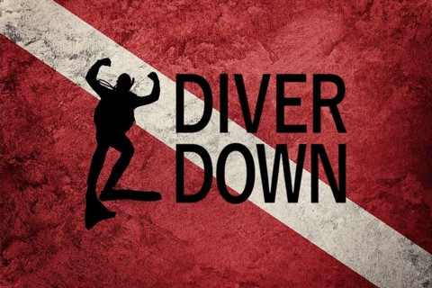 Diver Down Flag, Diver Silhouette, Vintage Style Scuba flag