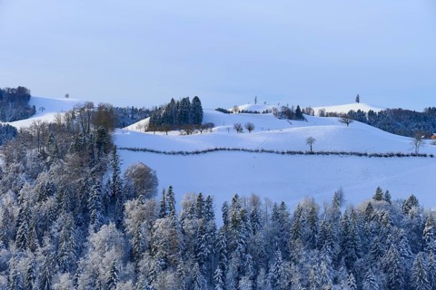 Snowy hills with trees under a clear blue sky, Schöningen, Zurich, Canton Zurich, Switzerland,