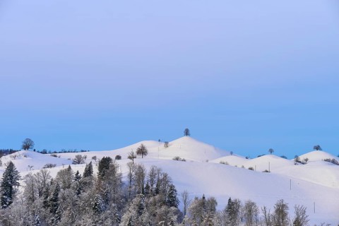 Snow-covered hilly landscape with trees against a blue sky, radiating a peaceful winter atmosphere,