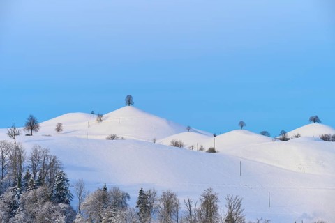 Snow-covered hills with scattered trees under a blue sky, Schöningen, Zurich, Canton Zurich,