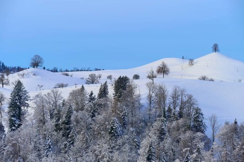 Snow-covered hilly landscape with trees against a blue sky, radiating a peaceful winter atmosphere,