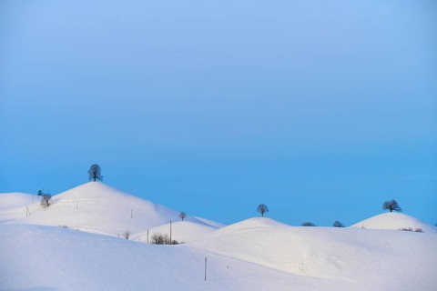 Snow-covered hills with scattered trees under a clear blue sky, Schöningen, Zurich, Canton of