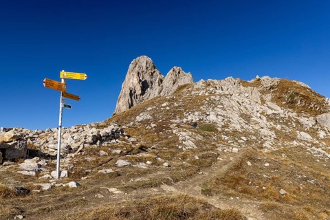 Hiking signpost, Comba Plane below Pierre Avoi, La Tzoumaz, Riddes, Valais, Switzerland, Europe