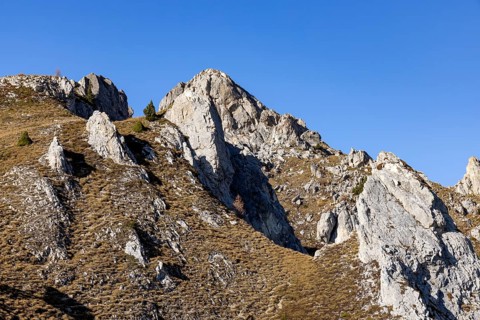 Pierre Avoi, rocky peak above Verbier, Valais, Switzerland, Europe