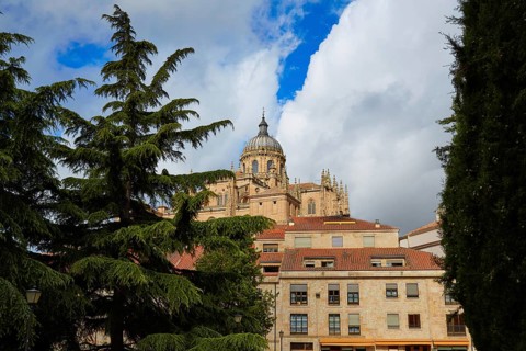 Salamanca Cathedral in Spain by the Via de la Plata way to Santiago