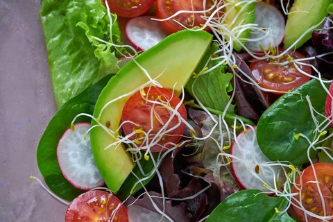 Avocado salad with sprouts tomatoes spinach and radish healthy food