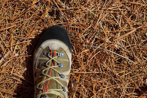 Hicker explorer feet boot detail on pine dried needles at mountain
