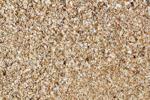 Ibiza sand macro soil texture with little cracked shell bits