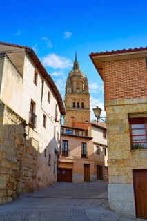 Salamanca Cathedral in Spain by the Via de la Plata way to Santiago